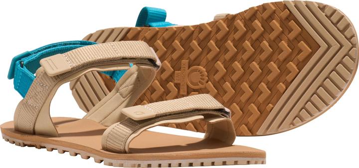 Actual product image Xero Shoes D-Trail (39.5)