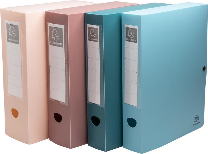 Produktbild Exacompta Archivbox mit Druckknopf, Rückenbreite 60mm, Recycling-PP, Skandi (A4)