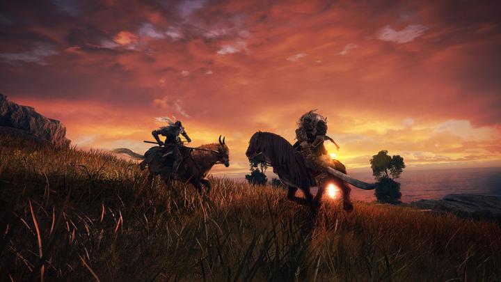 Produktbild Bandai Namco Elden Ring (PS5, Multilingual)