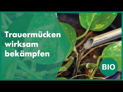 Actual product image Andermatt Biogarten Solbac liquid 0.1L (Fungus gnats)