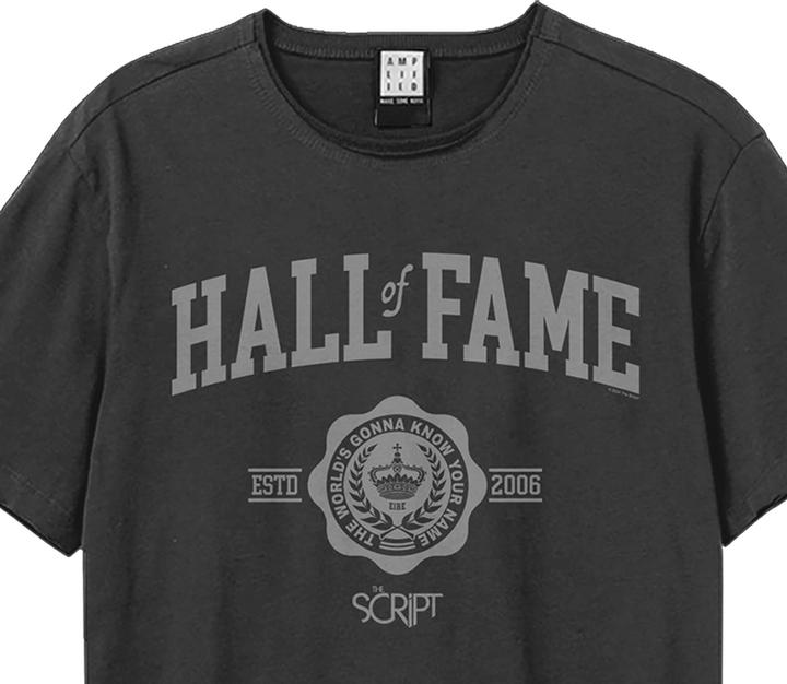 Actual product image Amplified Unisex Adult Hall Of Fame The Script T-Shirt (L)