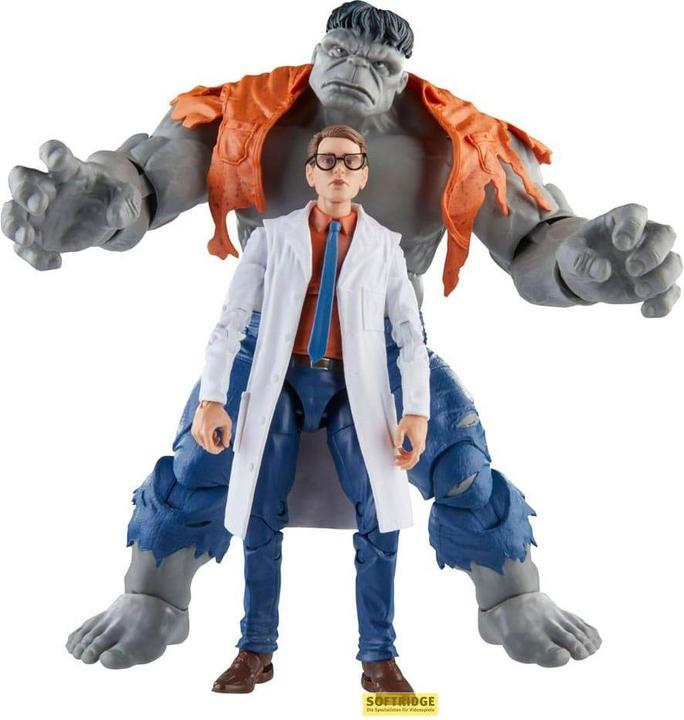 Immagine prodotto Hasbro Avengers Marvel Legends Gray Hulk & Dr. Bruce Banner
