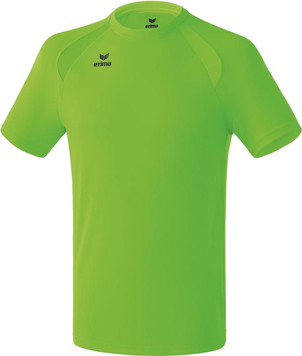 Geco verde