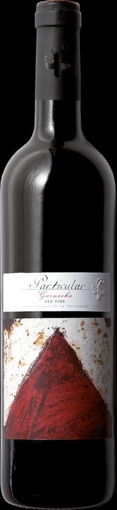 Actual product image Bodegas San Valero Cariñena DO tinto Particular (2021)