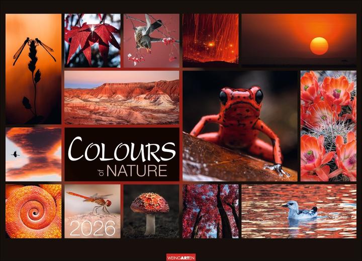 Actual product image Colours of Nature Kalender 2026 (68 x 49 cm, Hardcover, German)