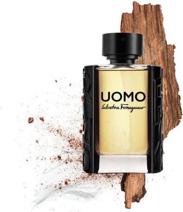 Image du produit Salvatore Ferragamo Uomo (Eau de toilette, 100 ml)