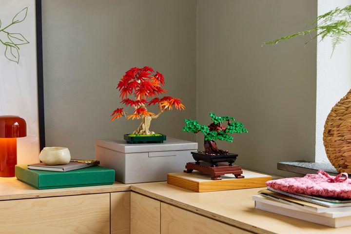 Produktbild LEGO Japanischer Roter Ahorn - Bonsai-Baum (10348, LEGO Botanical)