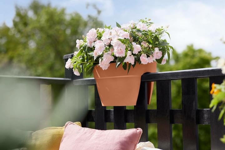 Produktbild Elho Vibia Campana Flower Bridge (26 cm)