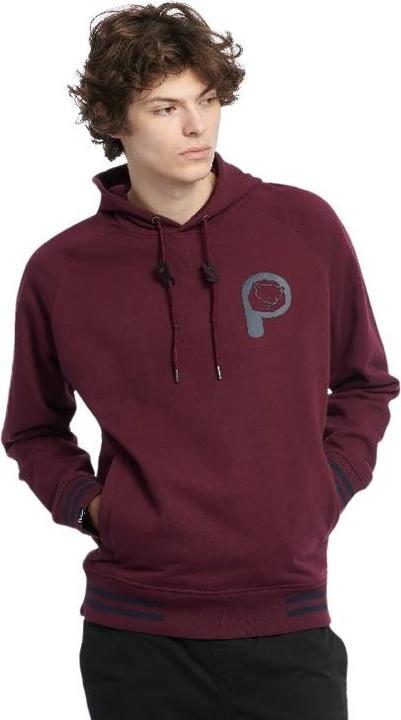 Actual product image Penfield large hoodie bear chet print lb (S)