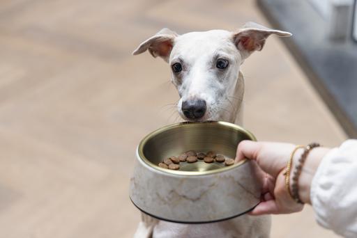 Actual product image Designed by Lotte Dog bowl Meis (0.35 l)