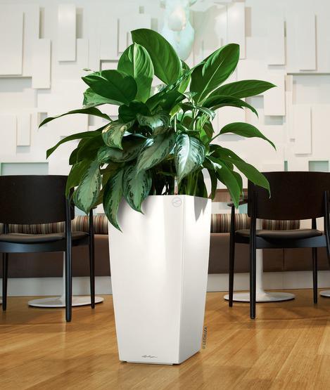 Produktbild Lechuza Cubico 30 (29.50 cm)