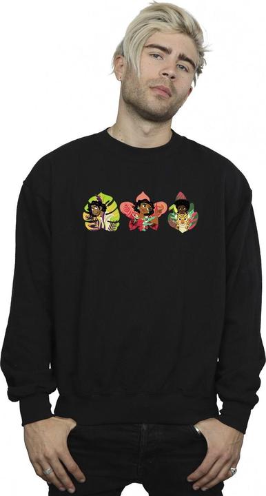 Image du produit Disney - Sweat ENCANTO FAMILY LINE - Homme (L)