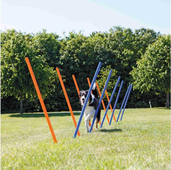 Actual product image Trixie Fun Agility Slalom (Agility)