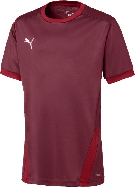 Produktbild Puma teamGOAL 23 Jersey jr-704160 (116)