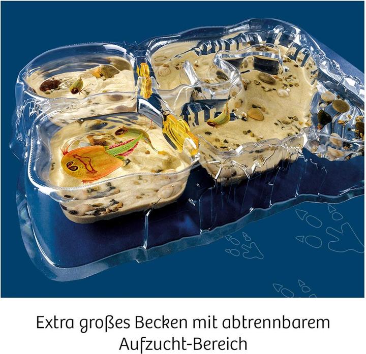 Produktbild Kosmos Triops - Leben aus der Urzeit