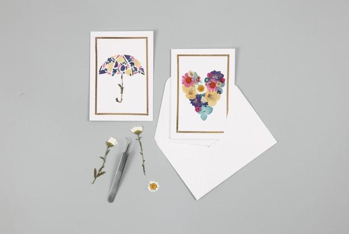 Actual product image Creativ Company Pressed flowers (2 x 15 x 20 cm)