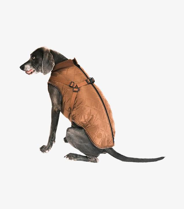 Immagine prodotto Pet & Co. Ruby - Cappotto imbottito con pettorina - Marrone (Cappotto per cani)