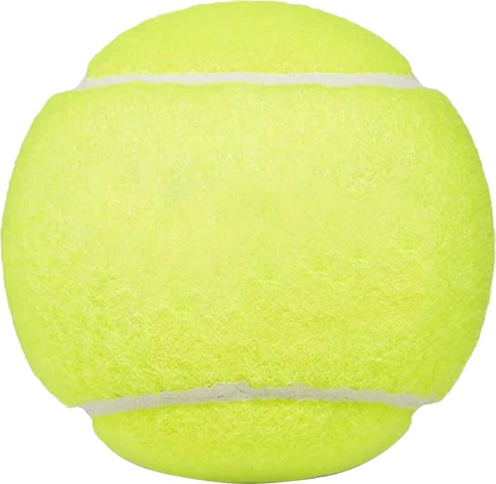 Image du produit Dunlop Fort All Court TS