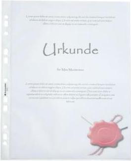 Actual product image Soennecken Brochure sleeve 1603 DIN A4 PP transparent 100 pcs./pack. (A4, 100 x)