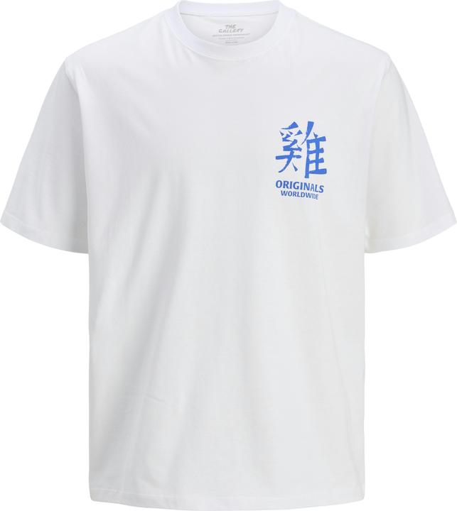 Jack & Jones Jorsnake Tee Ss Crew Neck Tg Ln (M)