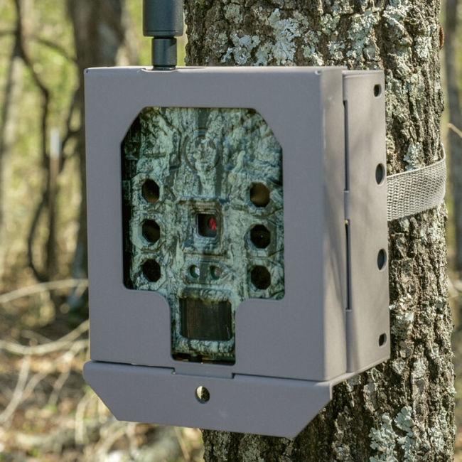 Actual product image Bushnell Trail camera security box