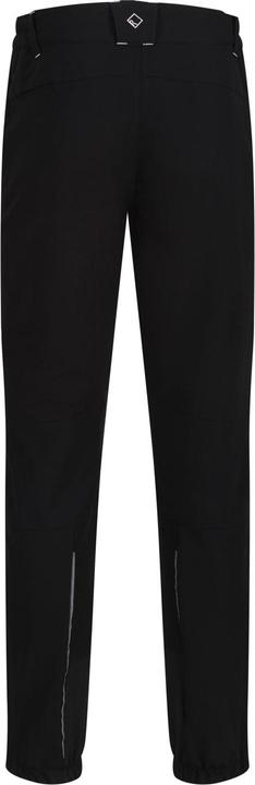 Actual product image Regatta Mountain hiking trousers (50 D)