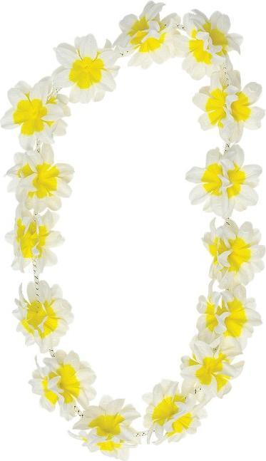 Image du produit Boland Collier de fleurs Hawaii - Hibiscus