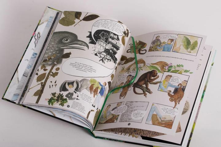 Image du produit Die Abenteuer des Alexander von Humboldt (Allemand, Andrea Wulf, 2019)
