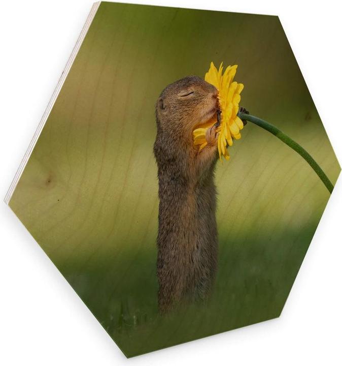 Actual product image Trenddeko van Duijn - Gopher smells flower (25 x 22 cm)