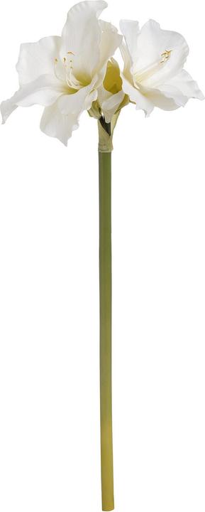 Produktbild Hill Interiors Kunstamaryllis (81 cm)