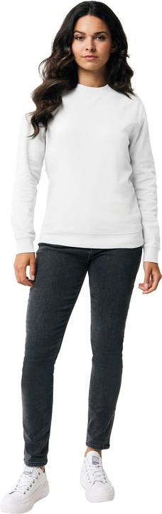 Image du produit Universal Textiles - Sweat ZION - Adulte (L)
