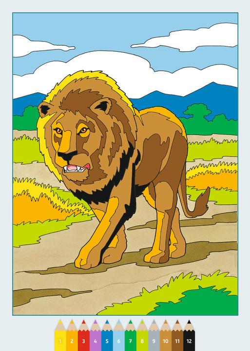 Actual product image Ravensburger Album de colouriage painting by numbers