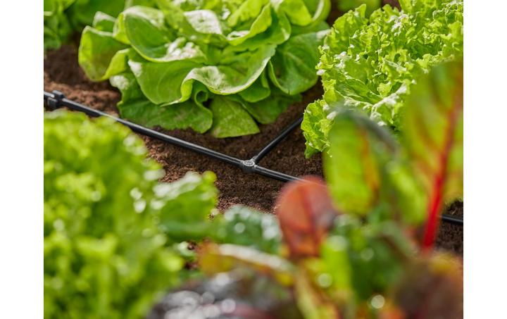 Image du produit Gardena Pièce en T 4,6 mm (Irrigation goutte à goutte Connecteur + dérivation)