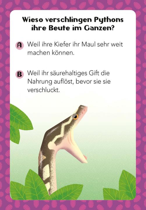 Produktbild National Geographic Tier-Quiz. 100 Fragen über Tiere für Quizfans und Tierfans (100 Fragen & Antworten) (Deutsch)