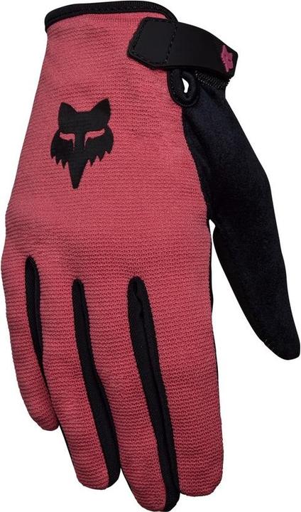 Image du produit Fox Gants 24 W Ranger Gua (M)