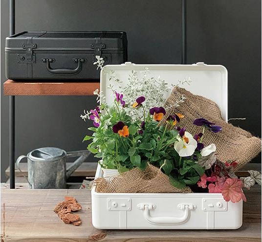 Actual product image Trunk Story Treasure chest (37 x 27.5 x 13.5 cm)