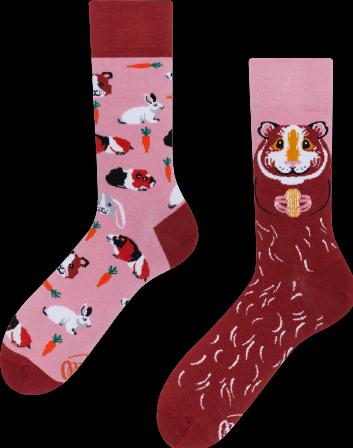 Image du produit Many Mornings Miss Guinea Pig (Une unité par pack, 35 - 38)