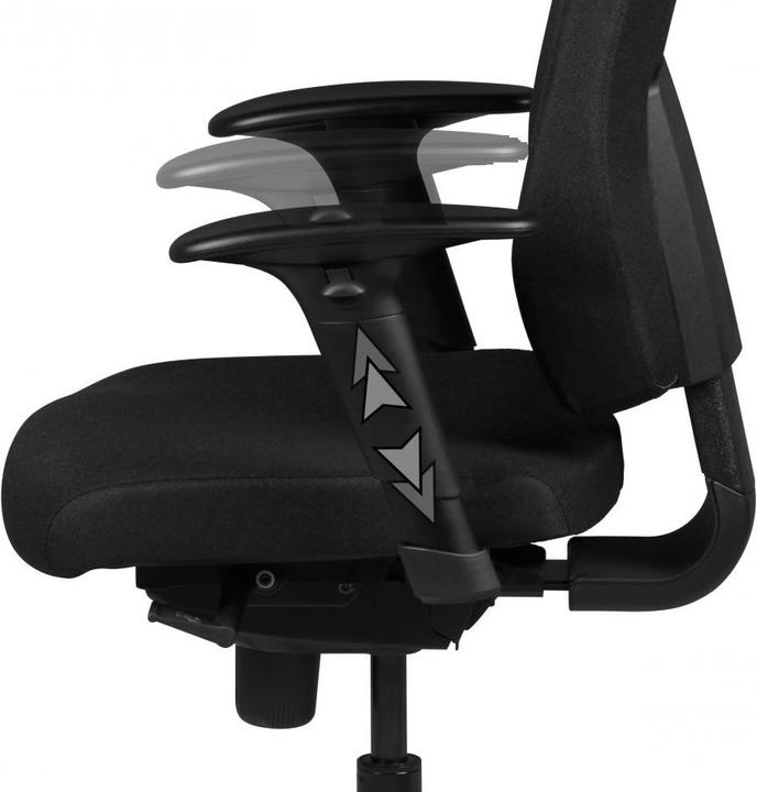 Image du produit Amstyle Darius