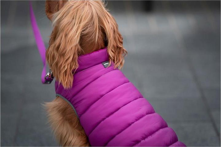 Actual product image Red Dingo Dog coat puffer 50 cm pink/purple (Dog coat)