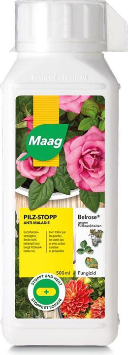 Produktbild Maag Belrose (Mehltau)