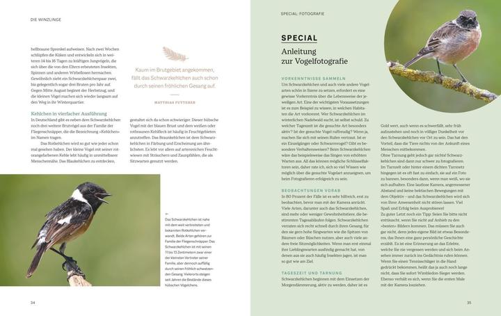 Immagine prodotto Die magische Welt unserer Vögel (Tedesco, Matthias Futterer, Hannes Bonzheim, 2022)