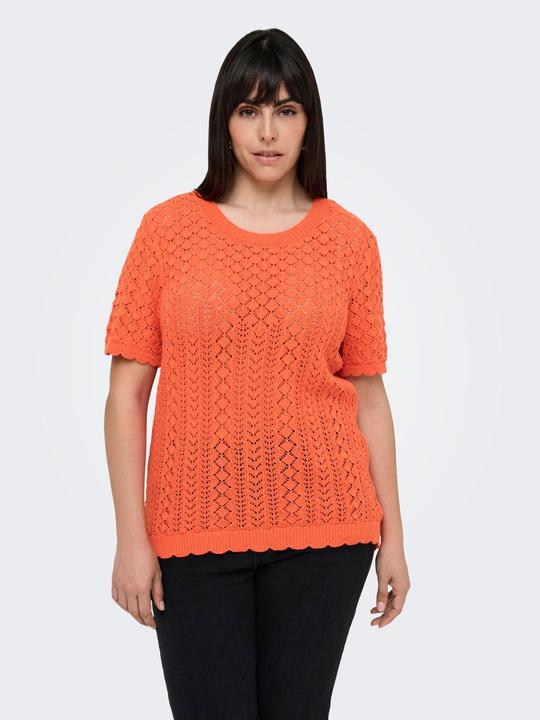 Immagine prodotto Only CARSAGA Gestricktes Oberteil Gestricktes Oberteil (S)