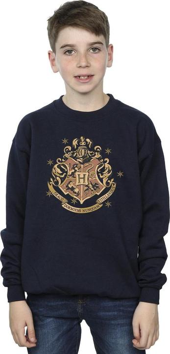Actual product image Boys Gold Hogwart Crest Sweatshirt (116)