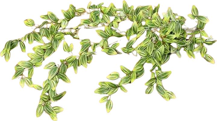 Image du produit Boltze Home Boltze Feuille de citronnier Branche 84 cm (7531900)