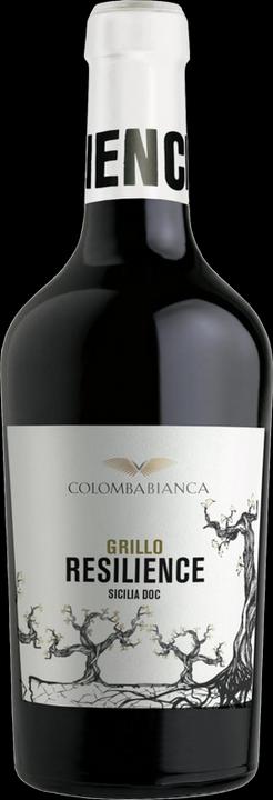 Actual product image Colomba Bianca Resilience Grillo Sicilia DOC (2023)