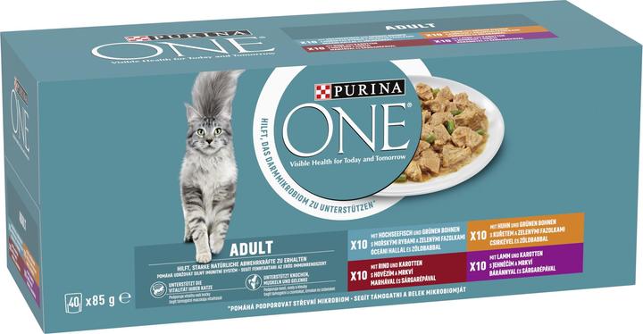 Purina ONE Adult