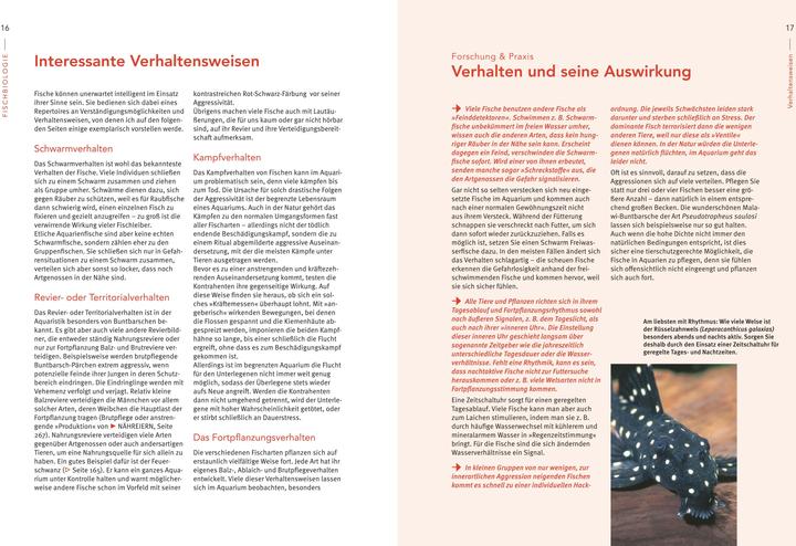 Image du produit Das grosse Praxishandbuch Aquarium (Allemand, Ulrich Schliewen, 2017)