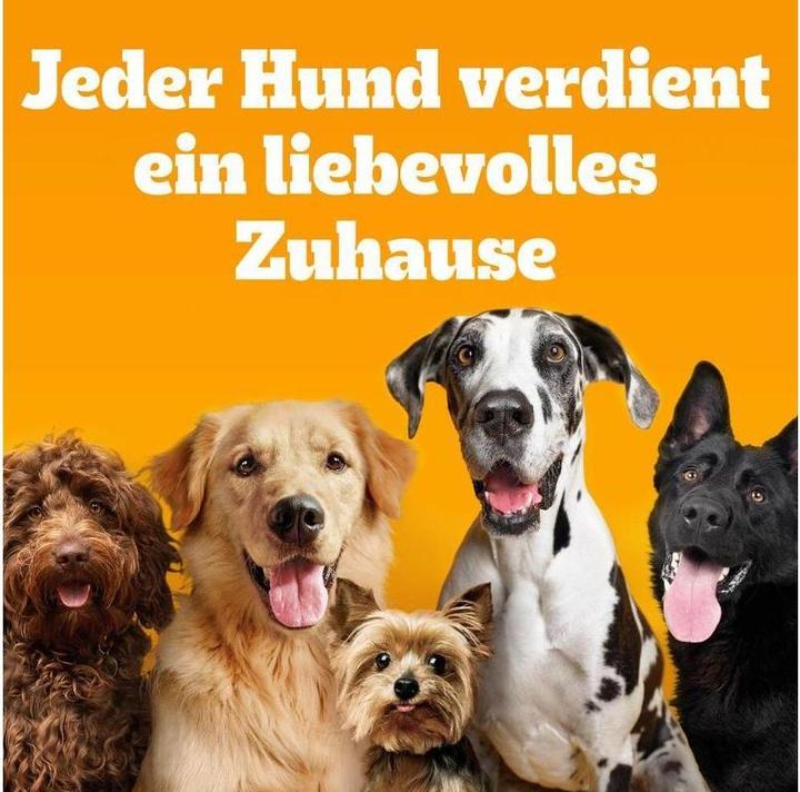 Produktbild Pedigree Jumbone mini (Adult, 8 Stk., 160 g)