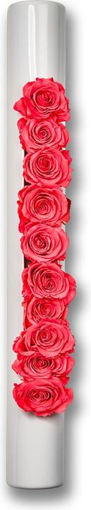 Image du produit Flowerbox Roses en céramique Infinity-Bloom bigTube (Fleurs à l'infini)
