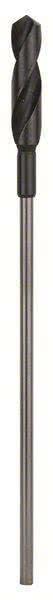 Actual product image Bosch Professional Zubehör PRO Wood HSS installation drill bit, 22 x 100 x 400 mm (22 mm)